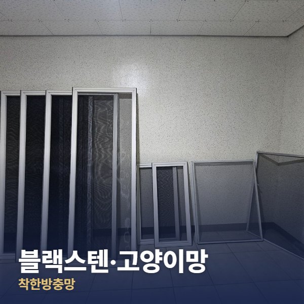 성동구 블랙스텐·고양이망